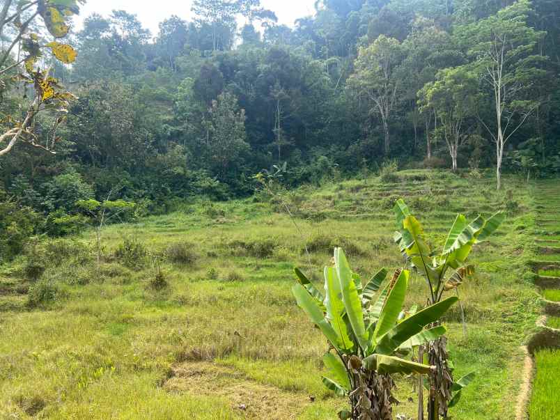 tanah sawah 2394m udara dingin karanganyar