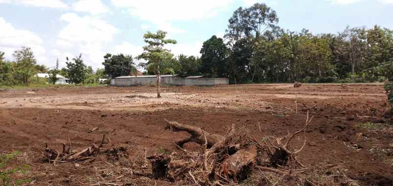 tanah shm siap bangun di rogojampi