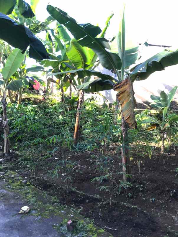 tanah strategis 152m view gunung lawu tawangmangu