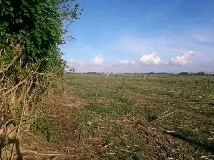 tanah tambak sumbawa ntb