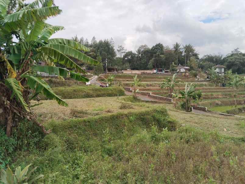 tanah view tangkuban perahu jalan cagak subang