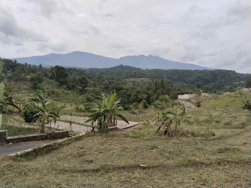 tanah view tangkuban perahu jalan cagak subang