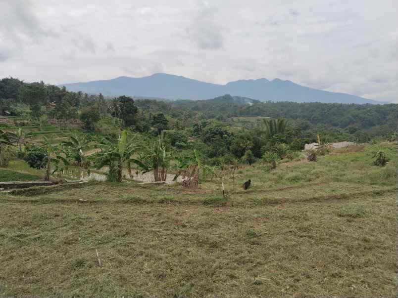 tanah view tangkuban perahu jalan cagak subang