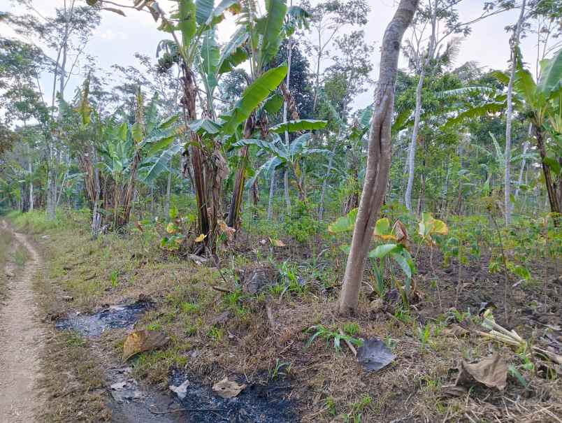 tanah zona industri cebongan tengaran salatiga