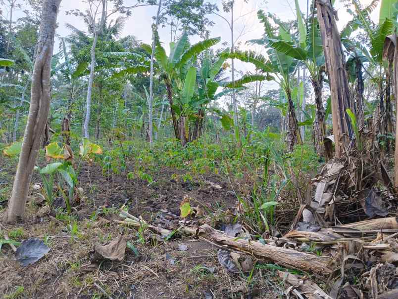 tanah zona industri cebongan tengaran salatiga