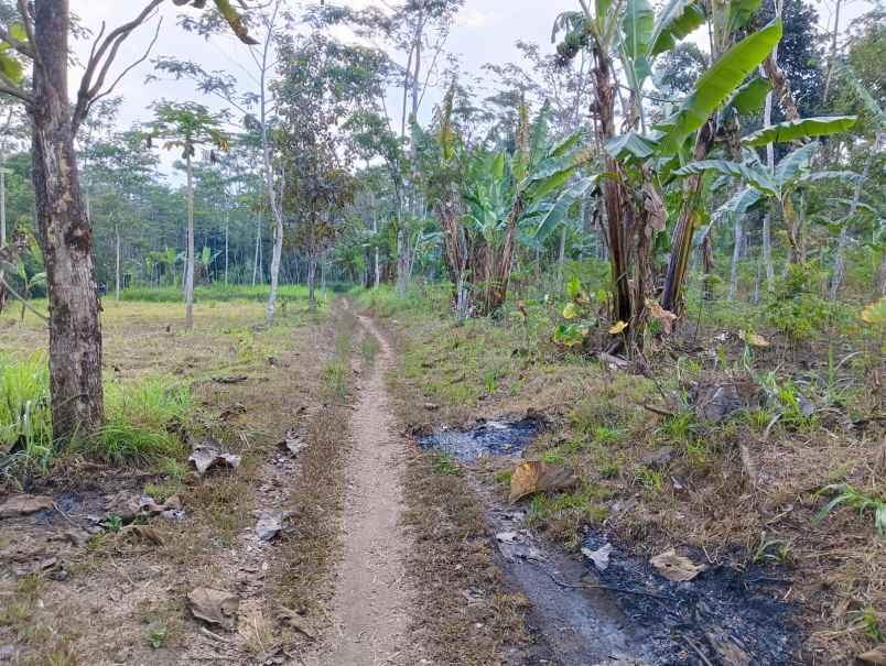 tanah zona industri cebongan tengaran salatiga