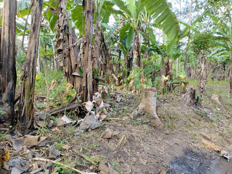 tanah zona industri cebongan tengaran salatiga