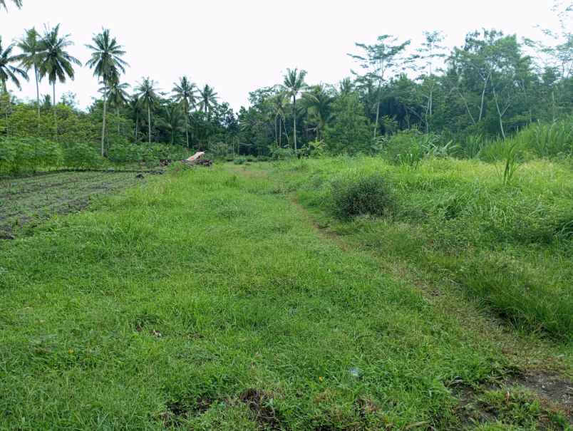 5 menit rsud sleman tanah tempel 100 jutaan