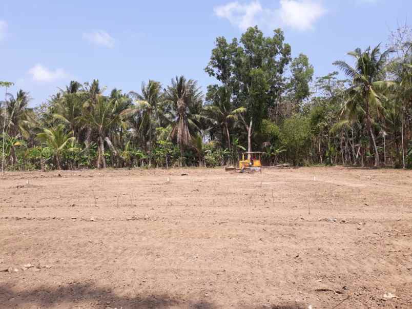 dekat pasar baru sentolo kulon progo