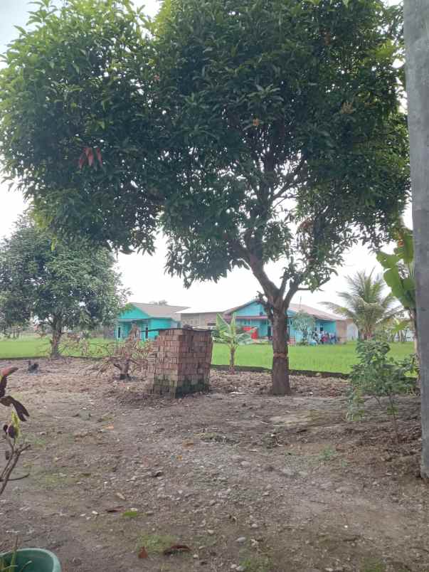 dijual 2 ruko 1 lantai dan rumah di belakang