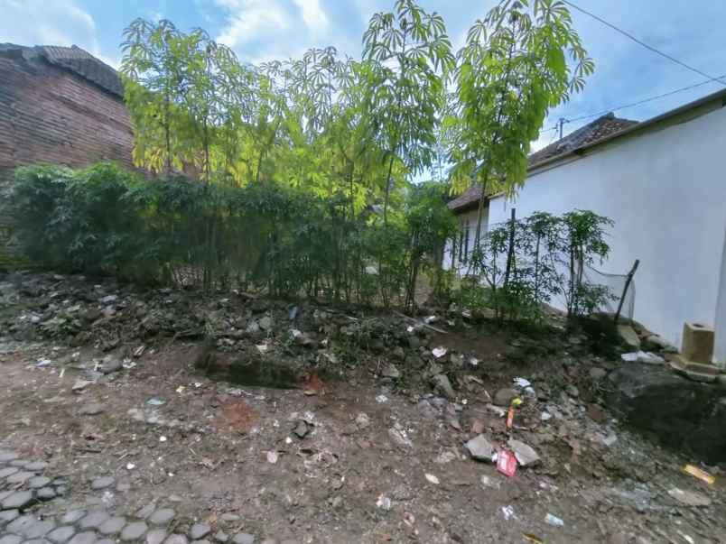 dijual cepat tanah ngenep murah