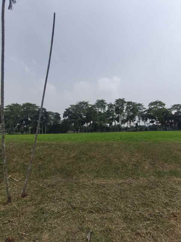 dijual kavling banten tangerang selatan