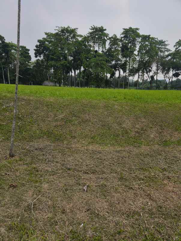 dijual kavling banten tangerang selatan