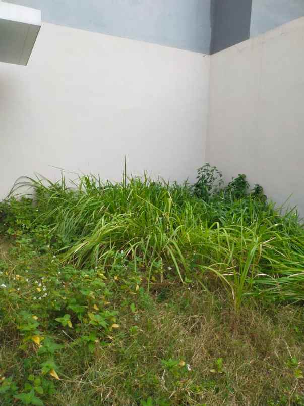 dijual rumah cluster lemonade grand