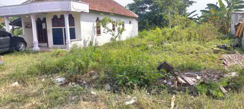 dijual rumah desa gurang kulon cerme gresik