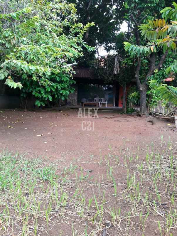 dijual rumah di condet jakarta timur