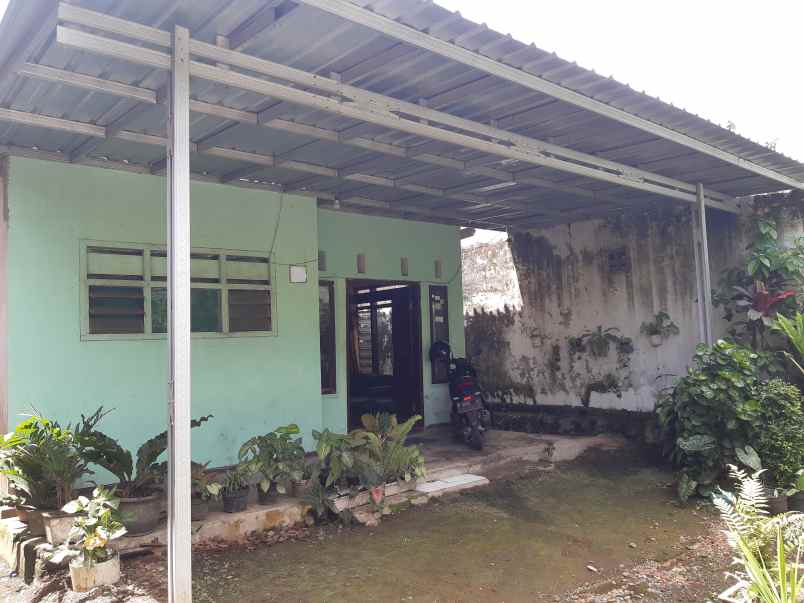 dijual rumah di dekat kampus jember