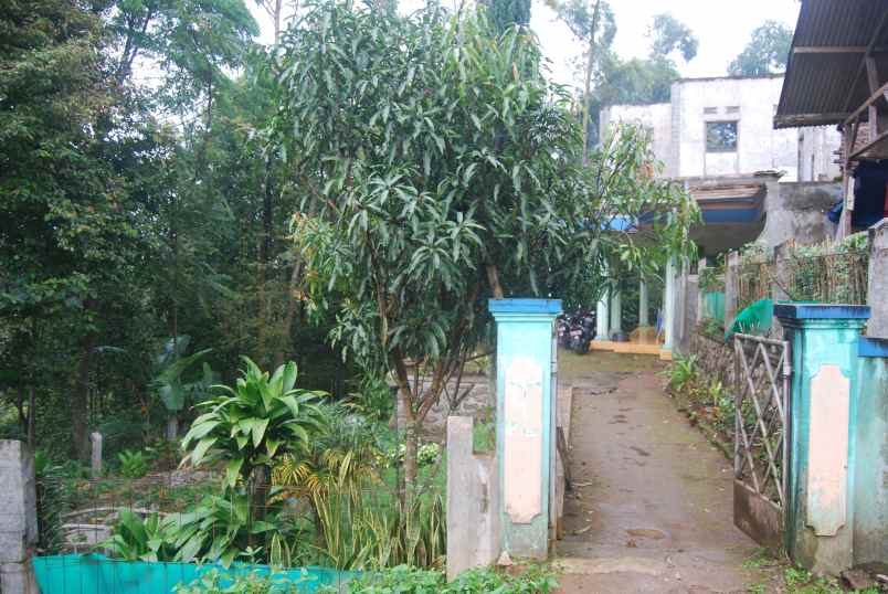 dijual rumah gambung ciwidey dekat wisata