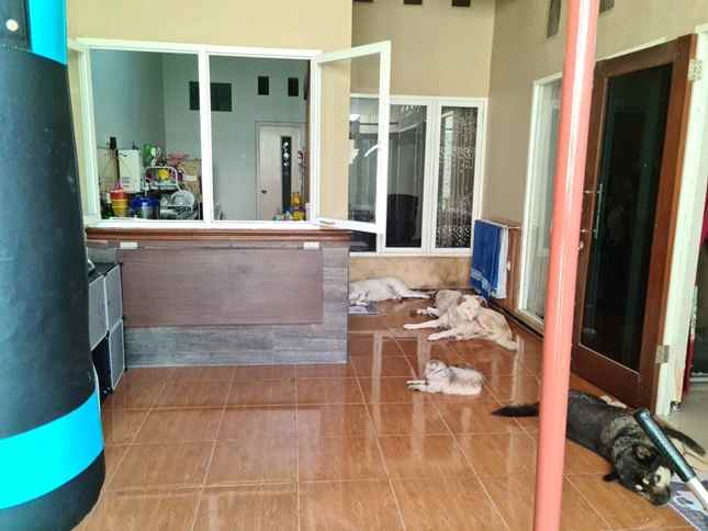 dijual rumah jalan bunga krisan