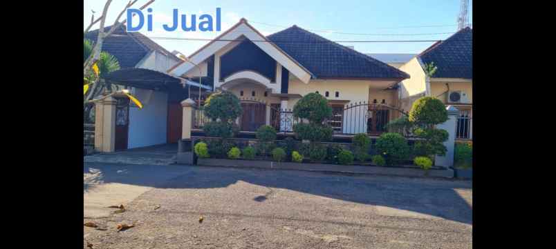 dijual rumah jl mojopahit jember