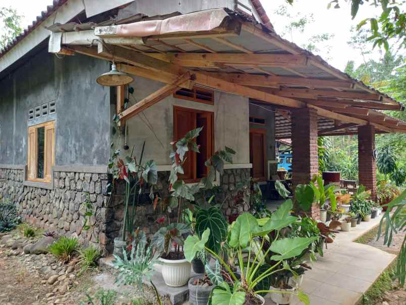 dijual rumah kasembon