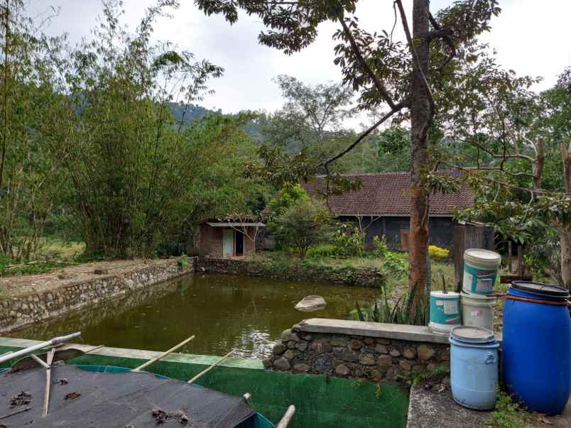 dijual rumah kasembon