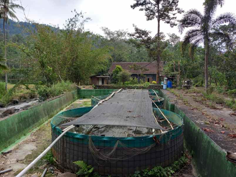 dijual rumah kasembon