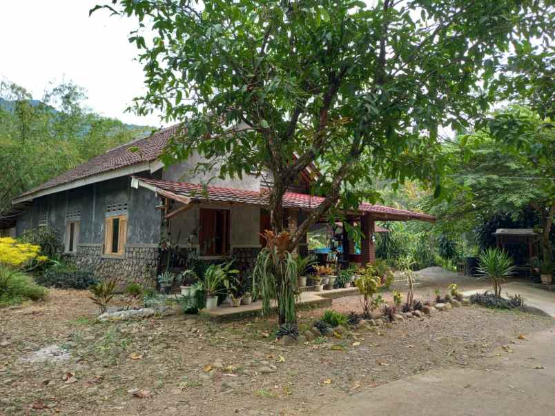 dijual rumah kasembon