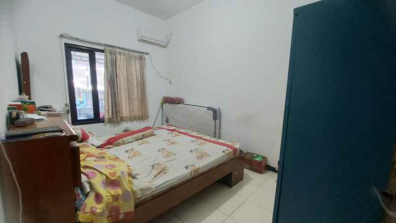 dijual rumah kelapa hibrida kelapa gading