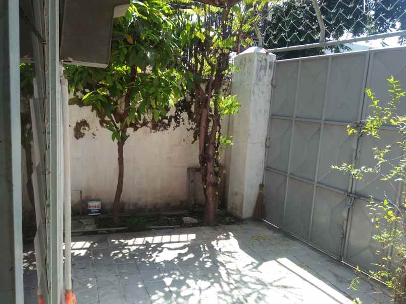 dijual rumah tepi jalan irian jaya