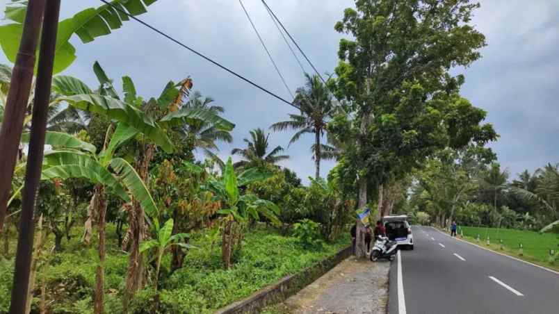 dijual tanah antosari kec selemadeg