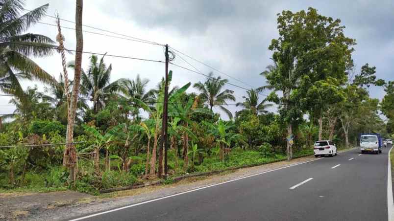 dijual tanah antosari kec selemadeg