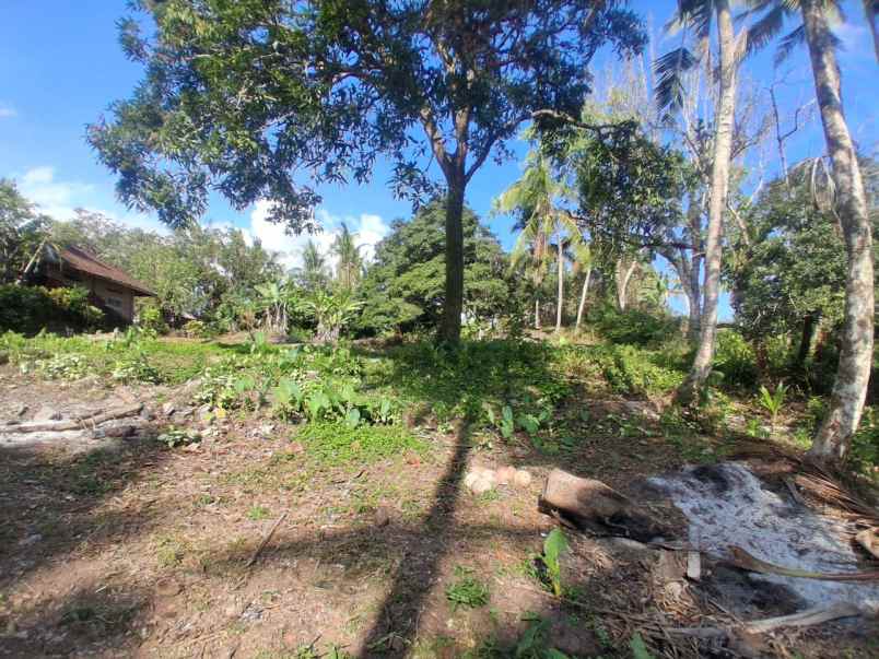 dijual tanah balian beach selemadeg