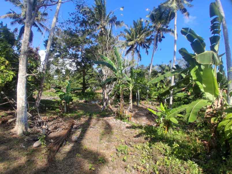 dijual tanah balian beach selemadeg