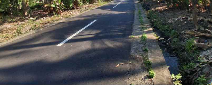 dijual tanah balian beach selemadeg