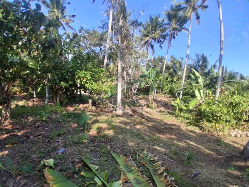 dijual tanah balian beach selemadeg