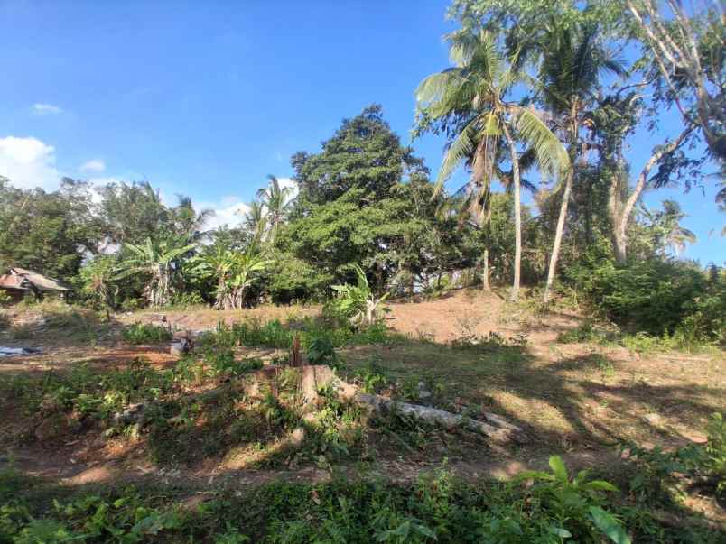 dijual tanah balian beach selemadeg
