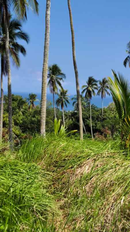 dijual tanah balian beach selemadeg