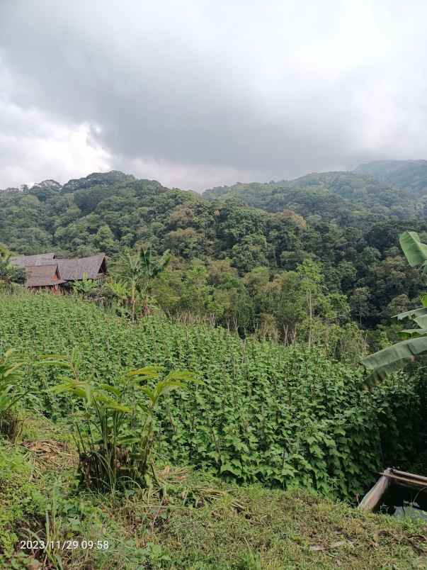 dijual tanah bedugul tabanan bali