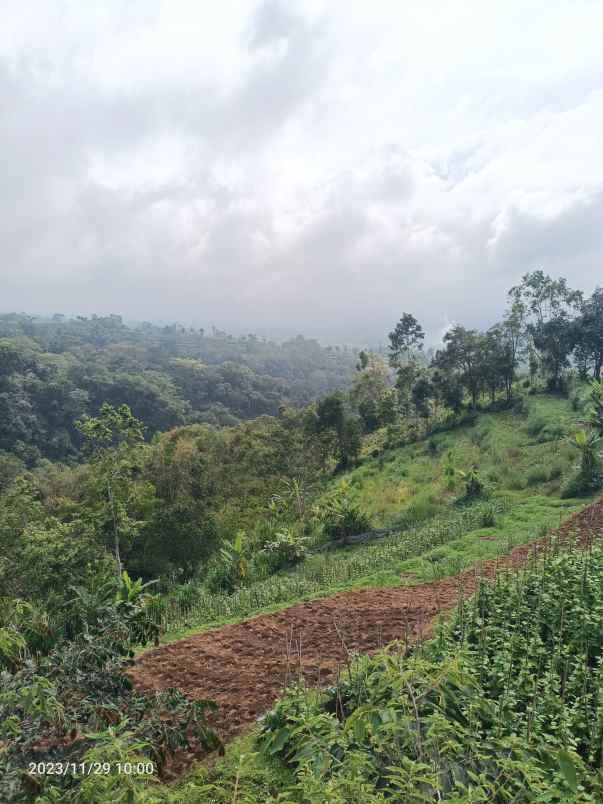 dijual tanah bedugul tabanan bali