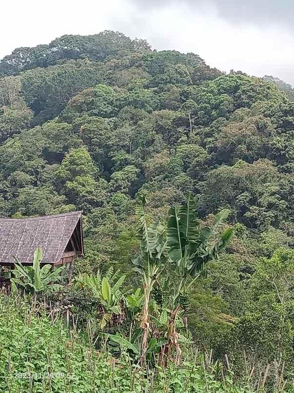 dijual tanah bedugul tabanan bali