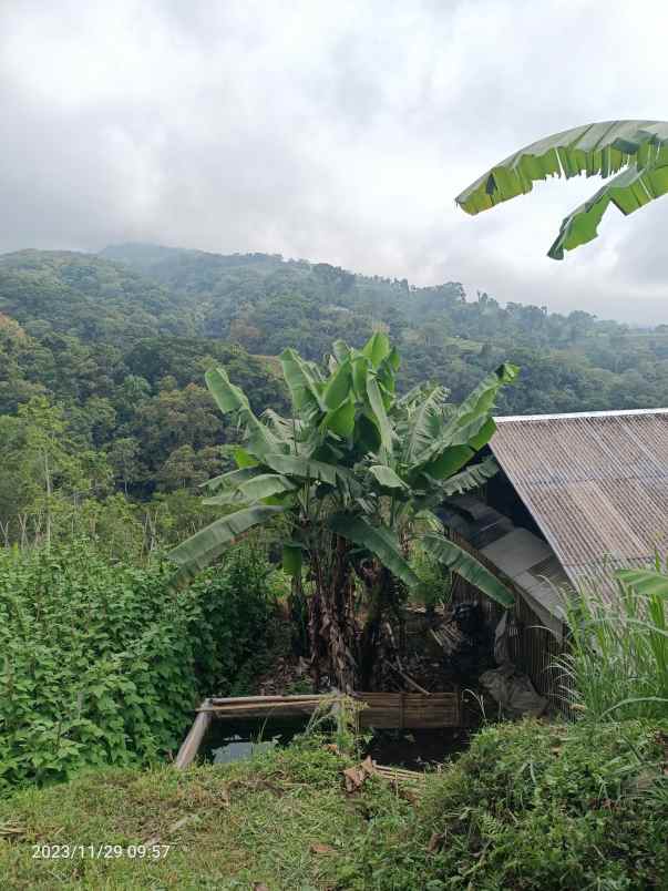 dijual tanah bedugul tabanan bali