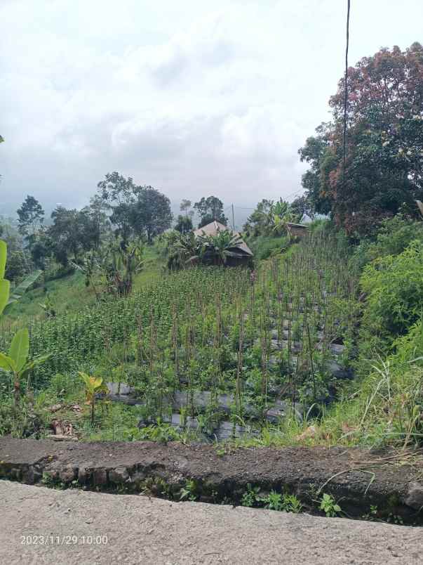 dijual tanah bedugul tabanan bali