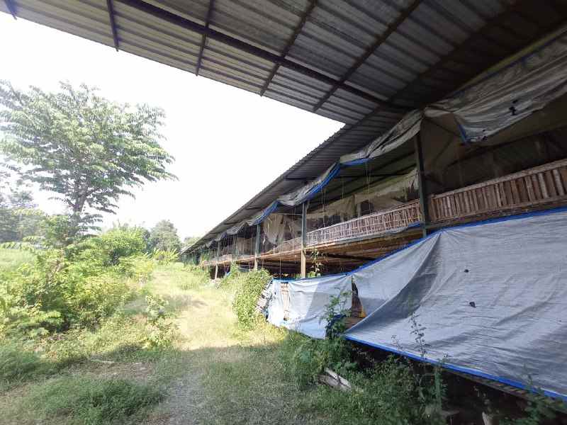 dijual tanah besuk probolinggo