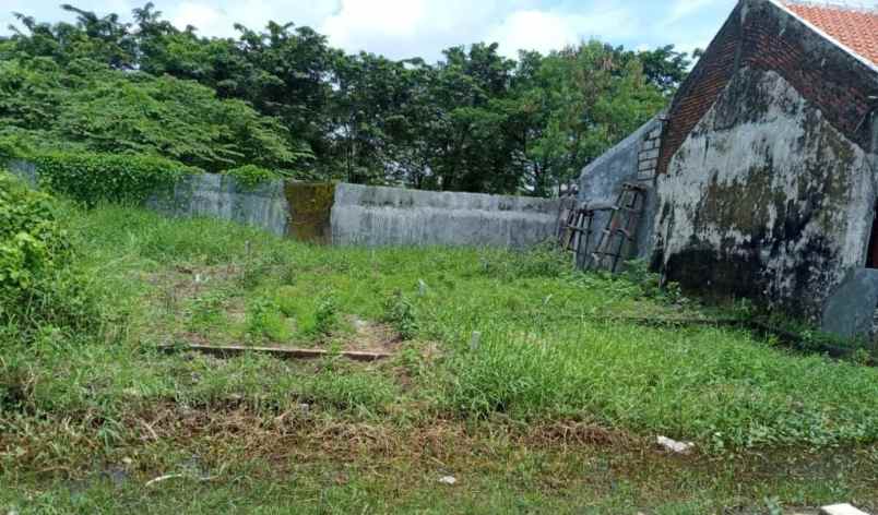 dijual tanah bumi wonorejo asri