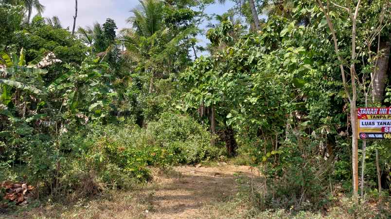 dijual tanah cepat tanpa perantara