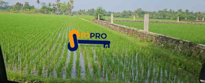 dijual tanah cianjur
