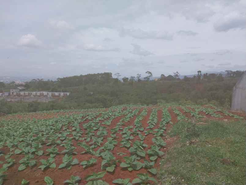 dijual tanah cibiru garung kidul