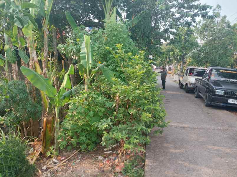dijual tanah cipamokolan