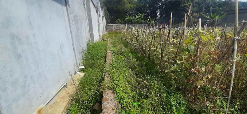 dijual tanah cisaranten kulon